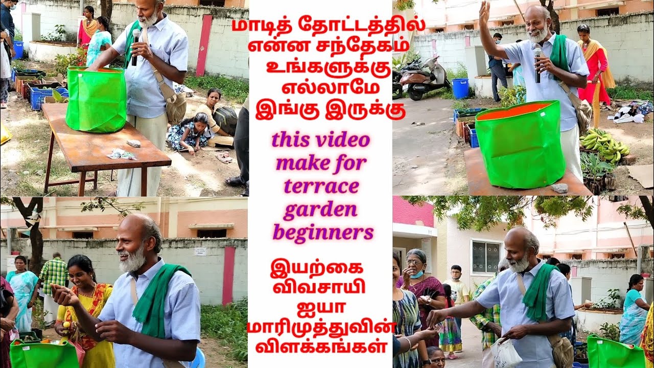 மாடி தோட்டத்தில் என்ன சந்தேகம் புதியவர்கள் கண்டிப்பாக பார்க்க வேண்டும்#மாடிதோட்டம் #garden #organic