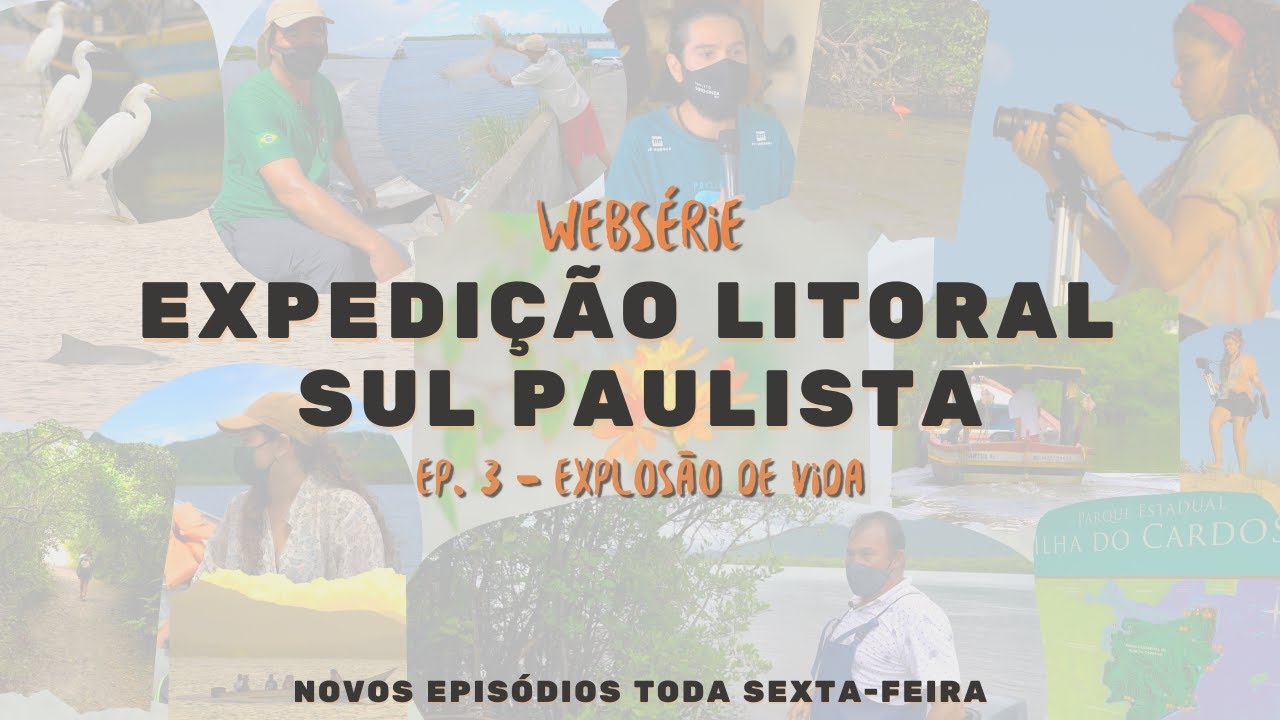 Webs&eacute;rie Expedi&ccedil;&atilde;o Litoral Sul Paulista - Ep. 3: Explos&atilde;o de vida | B&aacute;rbara Prado