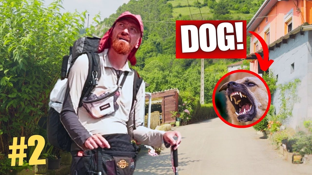 WHEN A DOG BLOCKS YOUR WAY | CAMINO PRIMITIVO #2
