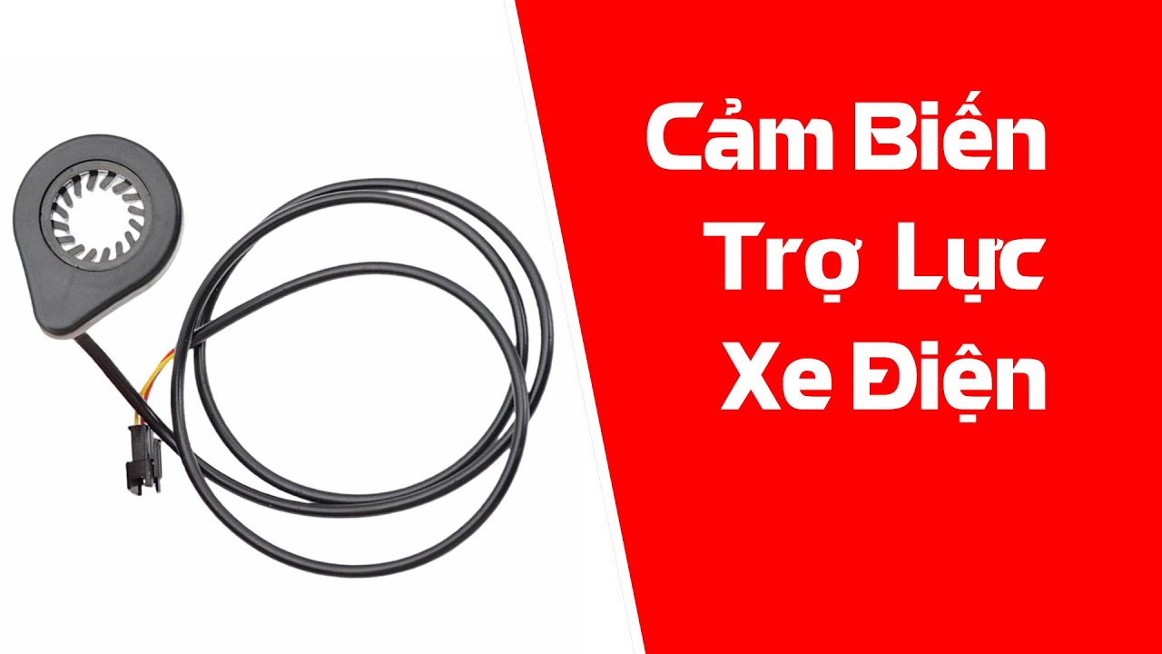 Cảm biến trợ lực mẫu mới 2024 - Xe Hải Đăng