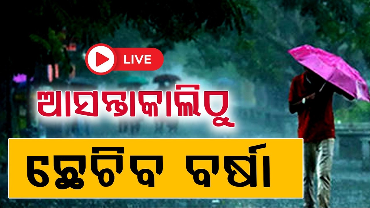 🔴Big Breaking News Live | ଆସନ୍ତାକାଲିଠୁ ଛେଚିବ ବର୍ଷା | Heavy Rain | Odisha | Argus News