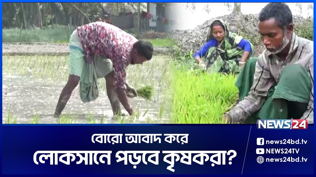 বোরো আবাদে খরচ বাড়ায় কৃষকের কপালে চিন্তার ভাজ | Rangpur Farmer | News24