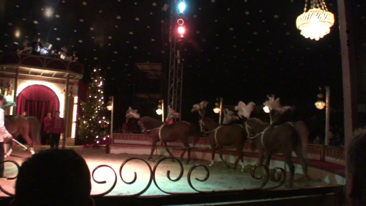 Ulmer Weihnachtscircus 2012/2013