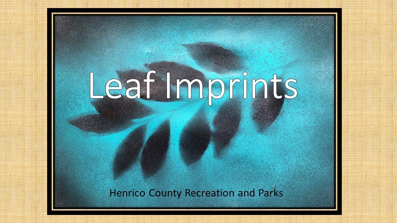 Leaf Imprints