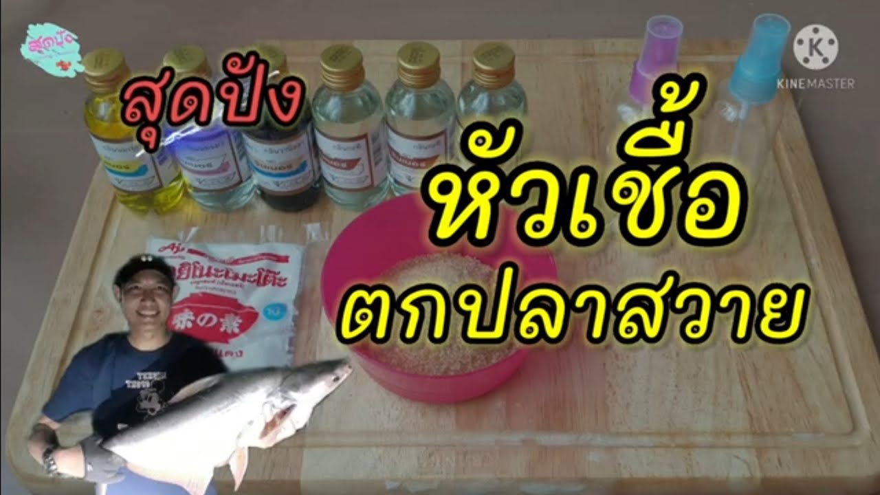 หัวเชื้อตกปลาสวาย l สุดปัง #30