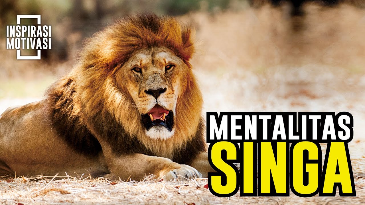 Mentalitas Singa || Video Motivasi Hidup || Inspirasi Motivasi