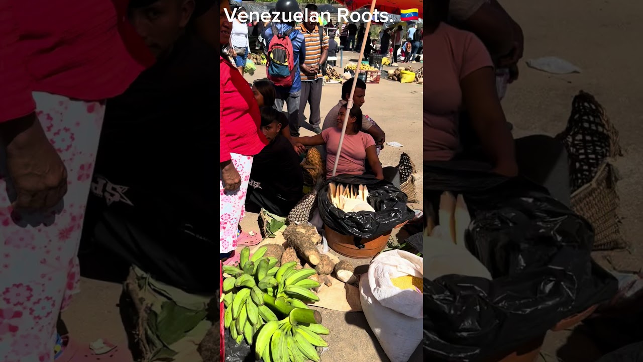 🇻🇪 DISCOVERING Puerto Ayacucho, AMAZONAS. #walkingtourvideo