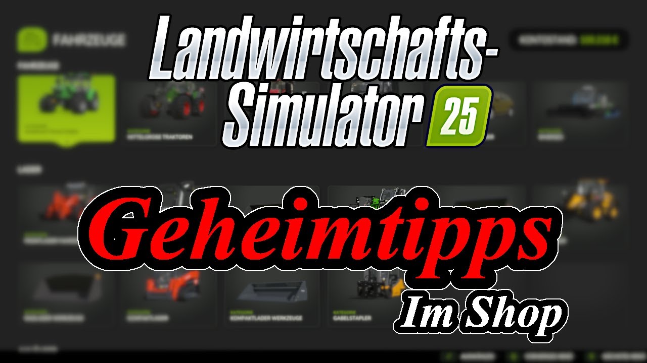 LS25 Diese Maschinen sind echte Geheimtipps FARMING SIMULATOR 25