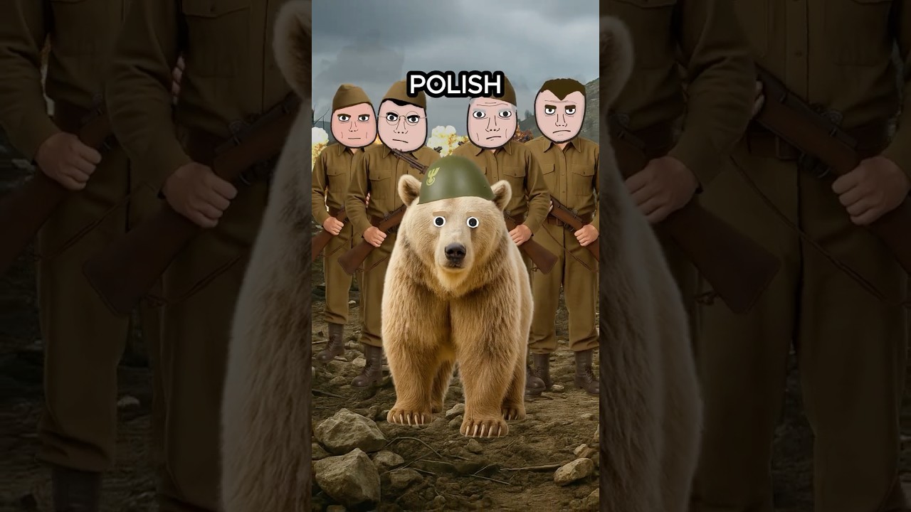 The Bear That Fought in WW2...