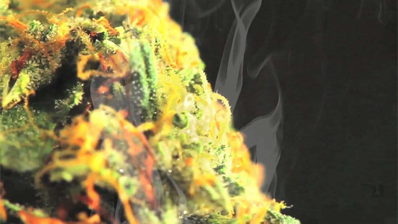 Happy 420 - Official 2012 Weed Anthem - Higher