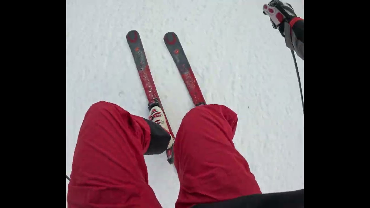 BlueBirdCarve01