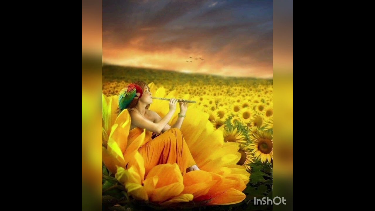 Meditazione di Equilibrio del terzo chakra-CHARA DEL PLESSO SOLARE