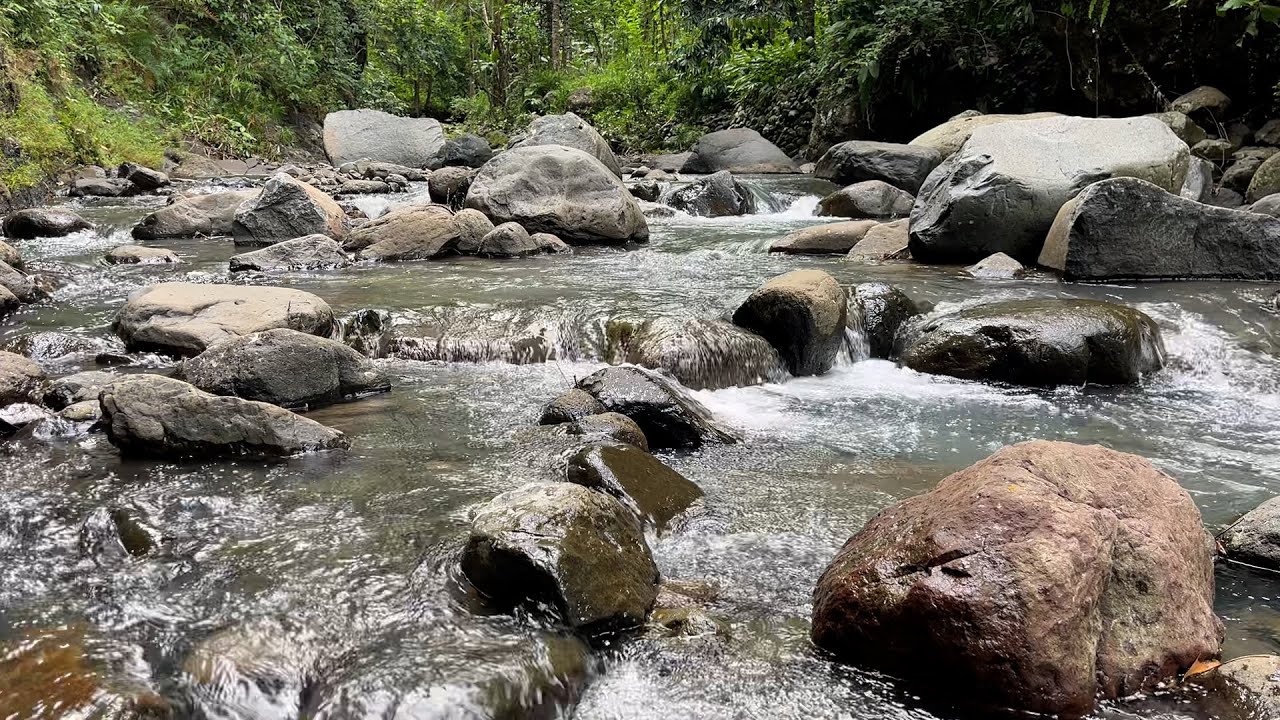 Calming River Sounds for Sleep Fast 💧 Night Relaxation & Anxiety Relief