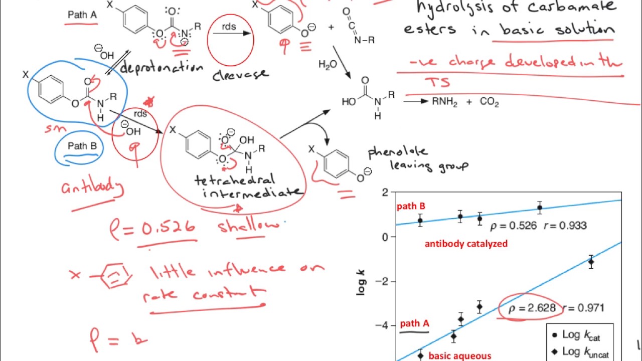 Chem 3404 Hammett Plot Example 6