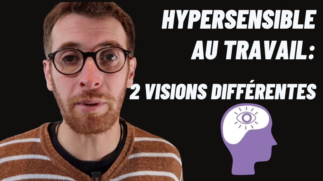 Hypersensibles au Travail: 2 VISIONS DIFFERENTES  POUR CHOISIR SON METIER (&agrave; prendre au s&eacute;rieux)