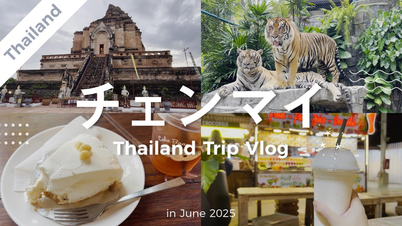 【チェンマイ】はじめてのタイ一人旅｜2泊3日のチェンマイ旅行VLOG