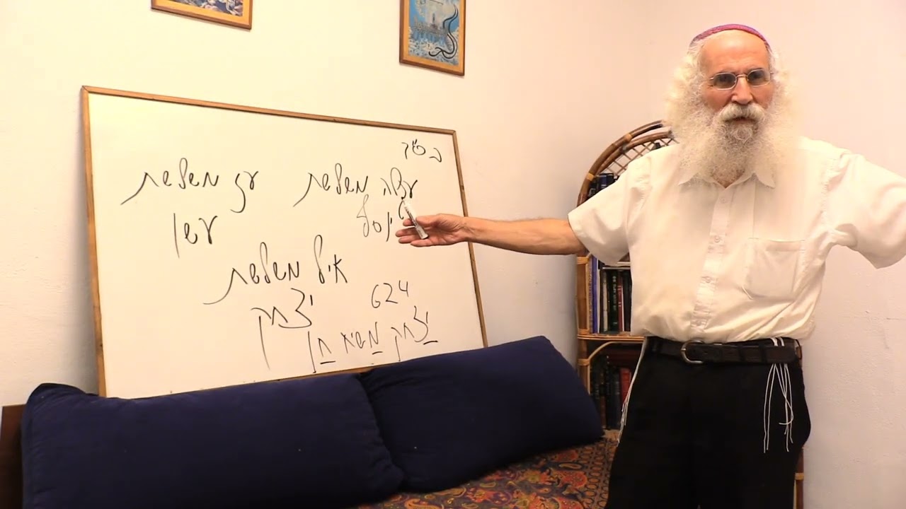 Ariel Cohen Alloro - 