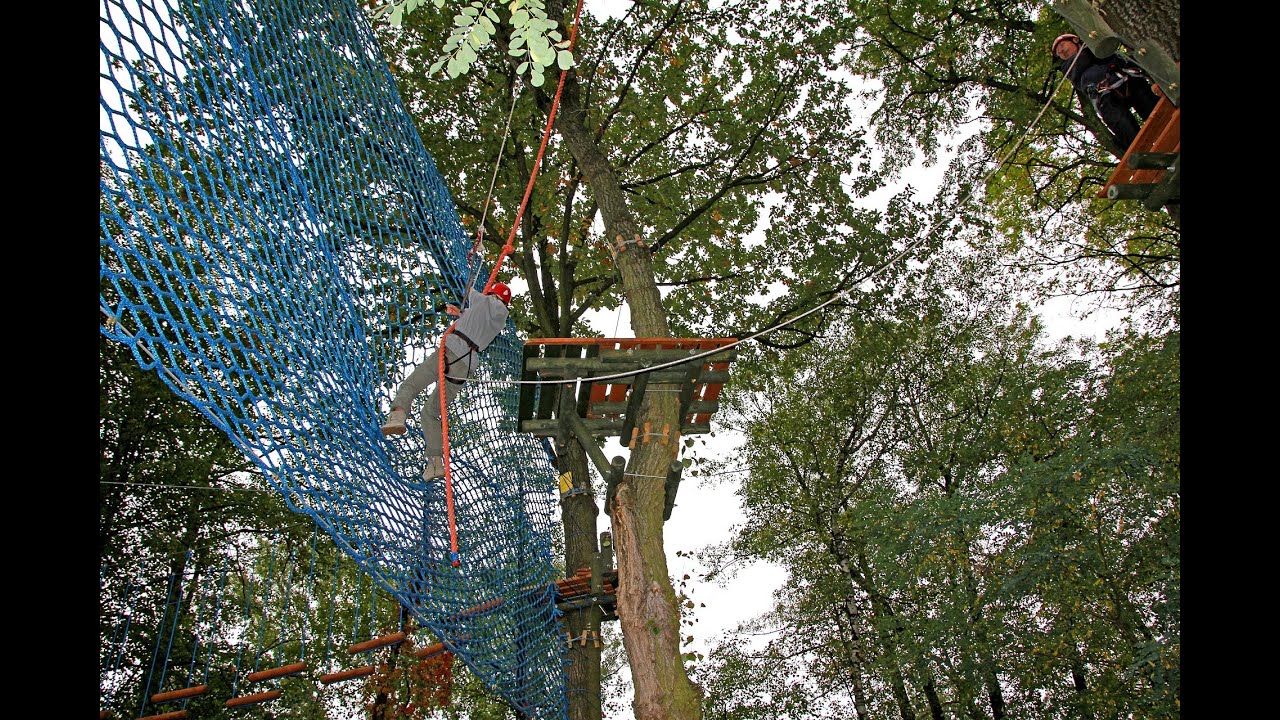Tree Top Sac: A Thrilling Experience without Leaving the Sacramento Region | Tatiana Bedoya Realtor
