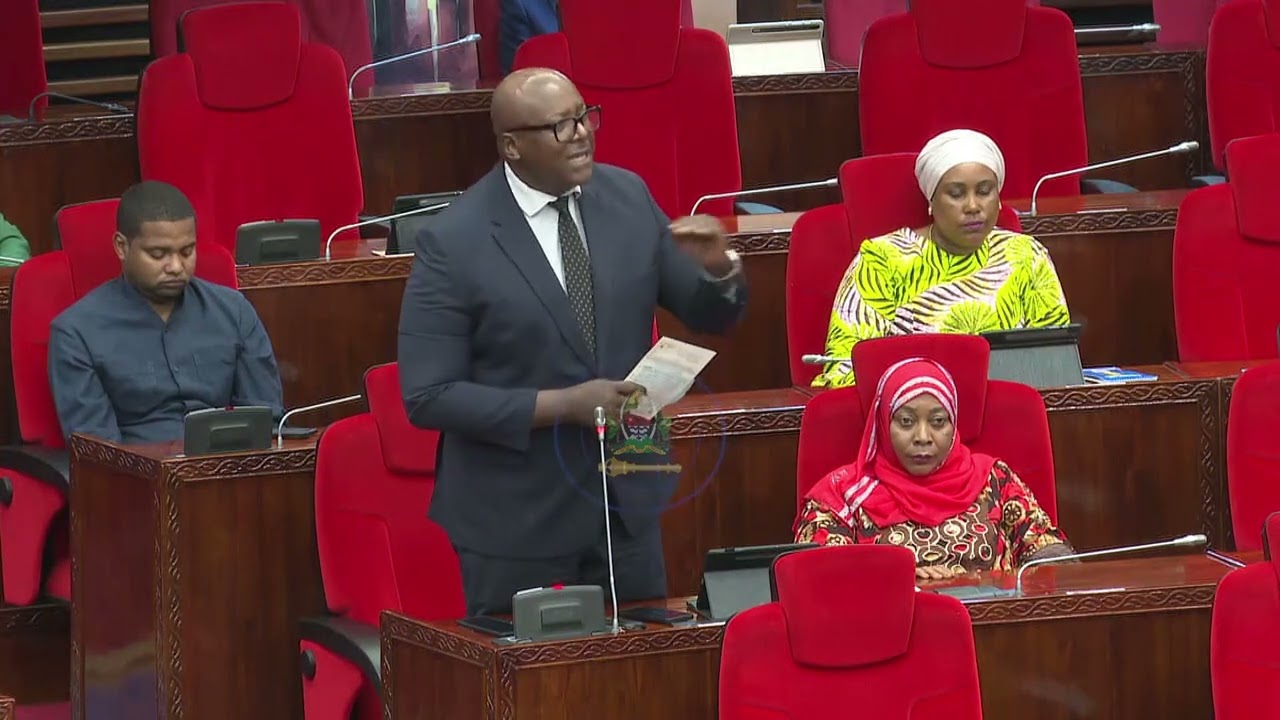 Mbunge wa Geita, Mh. Constatine Kanyasu akichangia mjadala wa mpango wa taifa bungeni 5-Novemba-2024