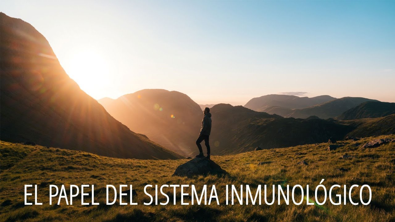 4 - El papel del sistema inmunológico | Dr. Horst Müller