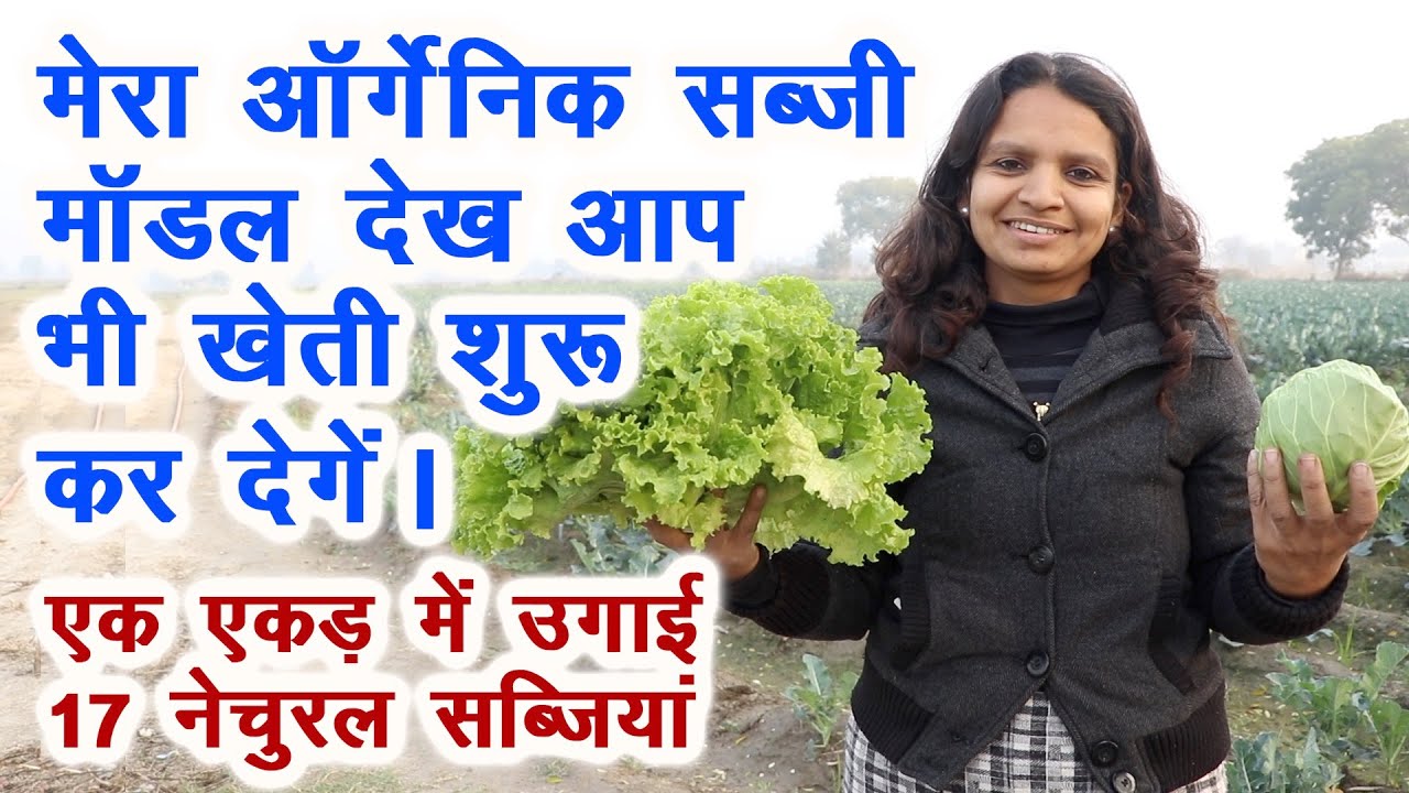 दिल्ली की टीचर का आर्गेनिक सब्जी माडल जरूर देखिए organic vegetables farming, urban farming model