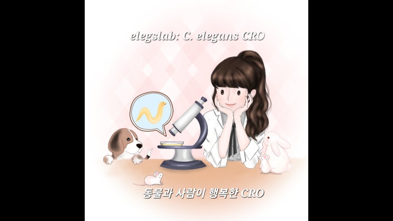 주식회사 엘렉스랩 elegslab 동물실험대체 전임상시험 Alternative to animal testing