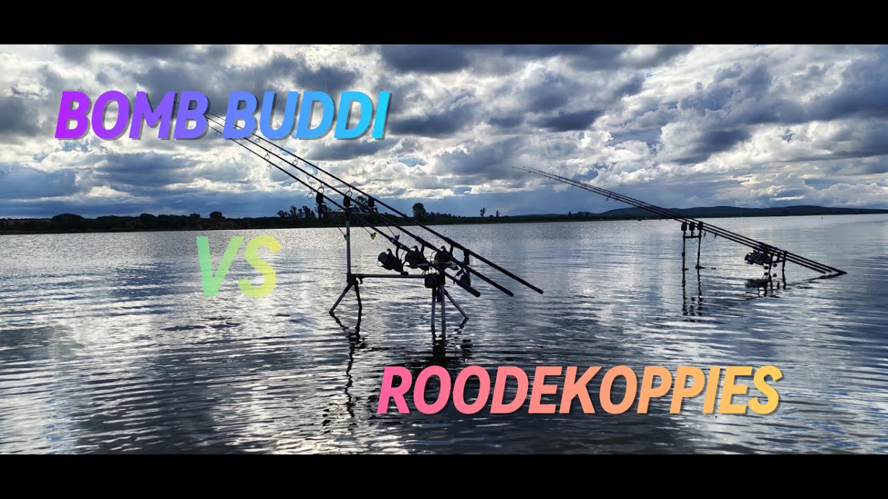 Bomb buddi VS Roodekoppies