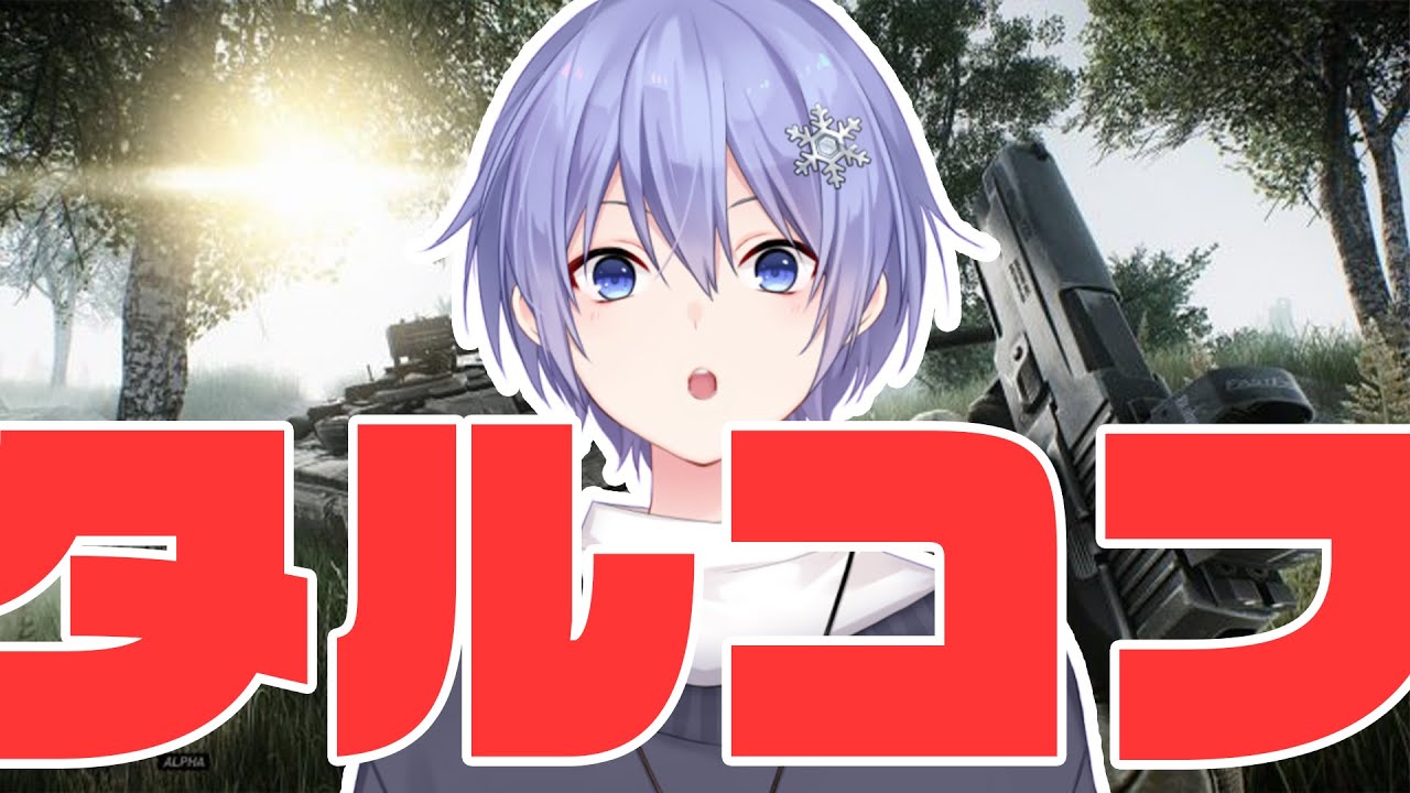 【Escape From Tarkov】ぬるりと lv43~【白雪レイド】