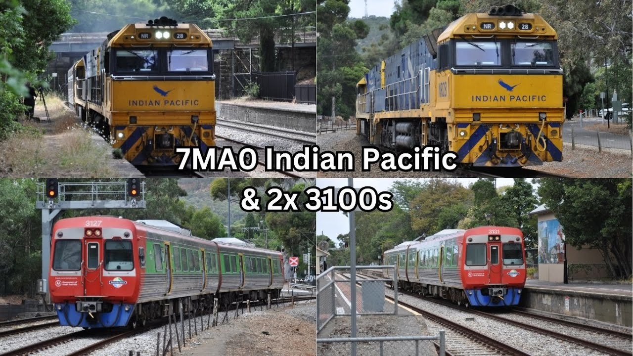 7MA0 & 3100s