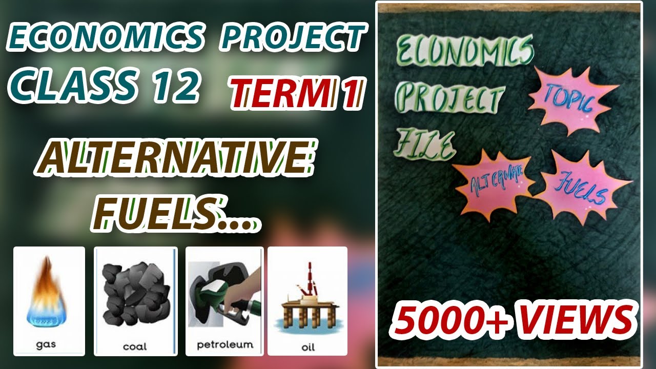 TERM 1 I ECONOMICS I PROJECT ON ALTERNATIVE FUELS I MAYANK KUKREJA 2023-24 #cbse12 #class12