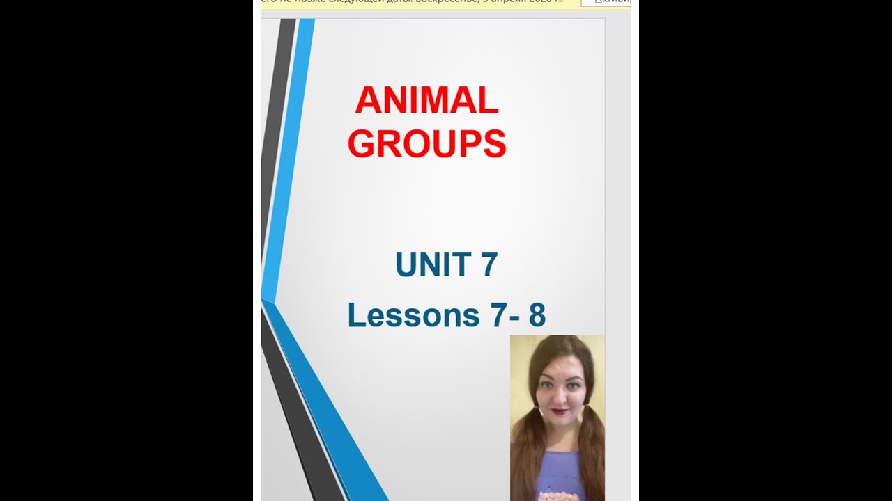 QUICK MINDS 2. UNIT 7.  Lessons 7 - 8. ANIMAL GROUPS