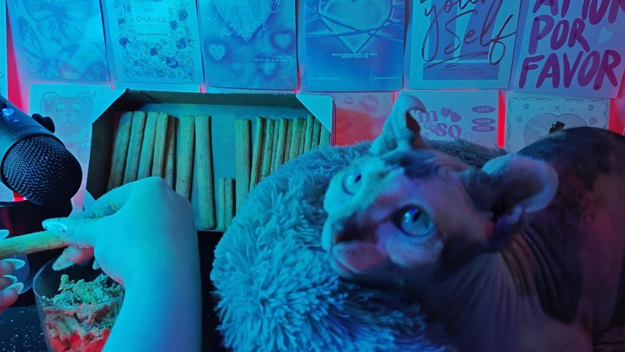 АСМР 🐈 хрустящие сладкие палочки с кремовой начинкой 🍬