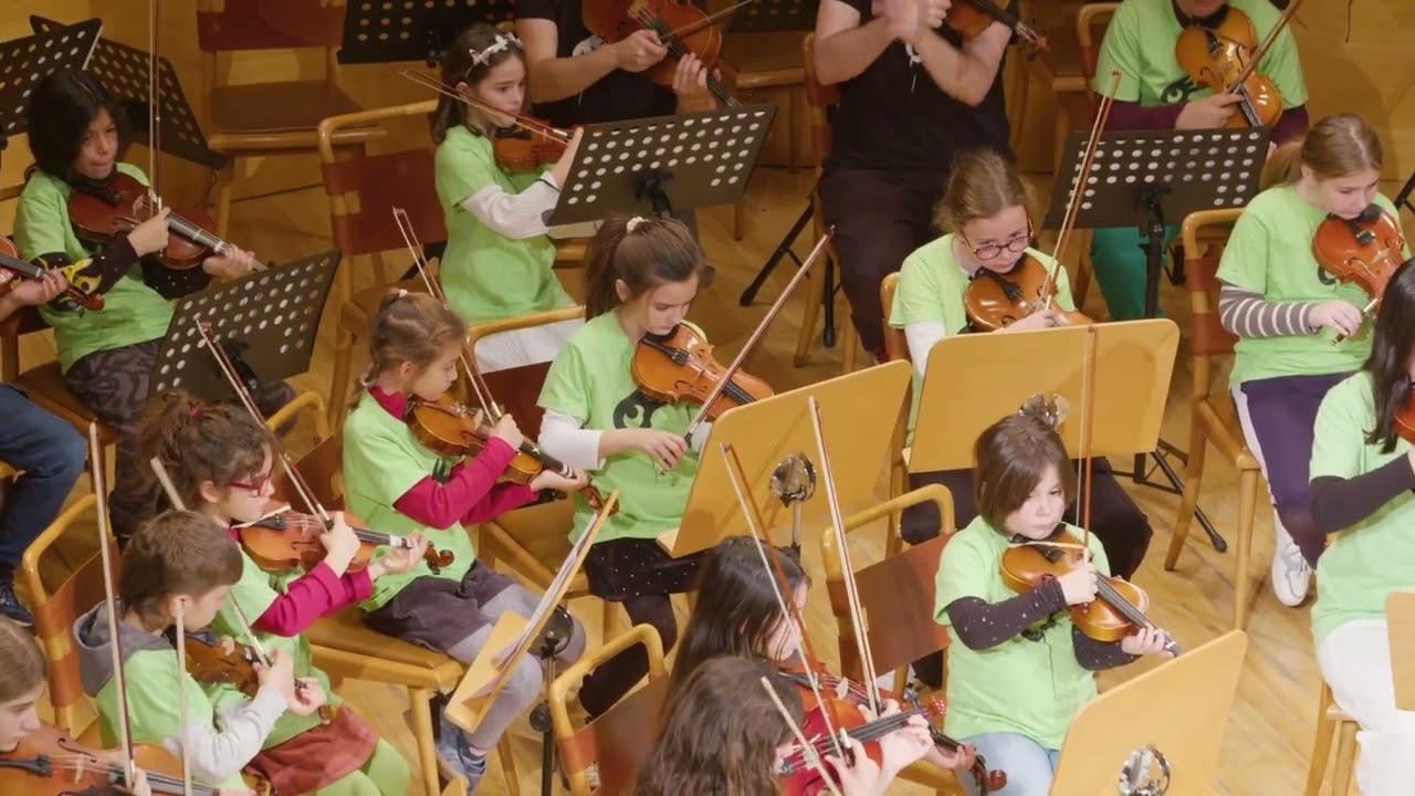 Orquesta Escuela Solidaria: 