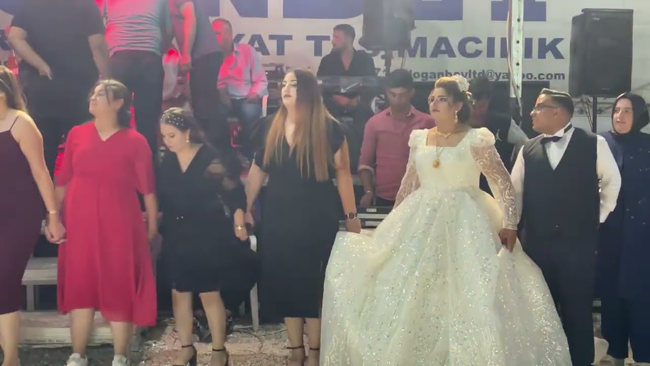 Kuş ailesinin düğünü // Kilis