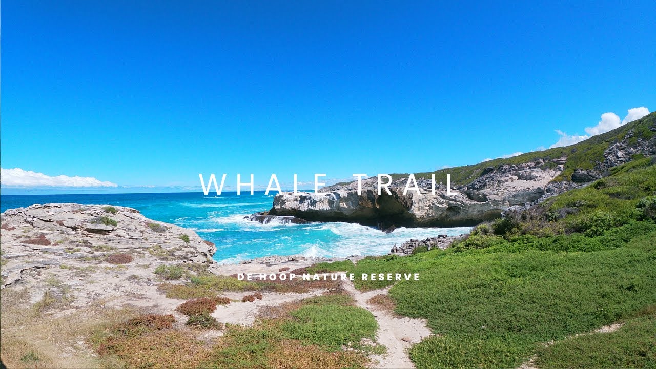 Exploring the Scenic Whale Trail: A Breathtaking Coastal Hike Adventure