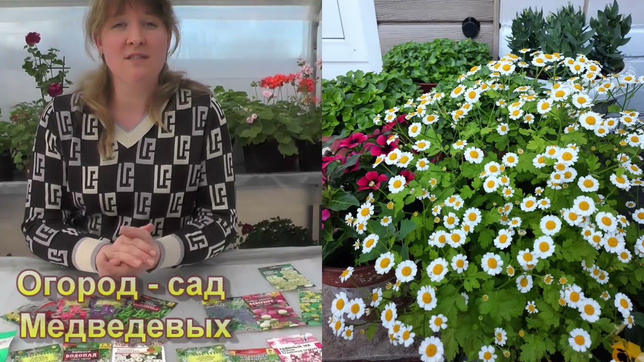 Какие цветы я сею в апреле