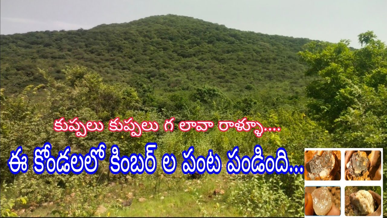 నెమలిపురి తండాలో వజ్రలావేట/ప్రతి కింబర్ లో ఉన్న మేరిసే స్టోన్స్ /super shaing in kimberlight stone