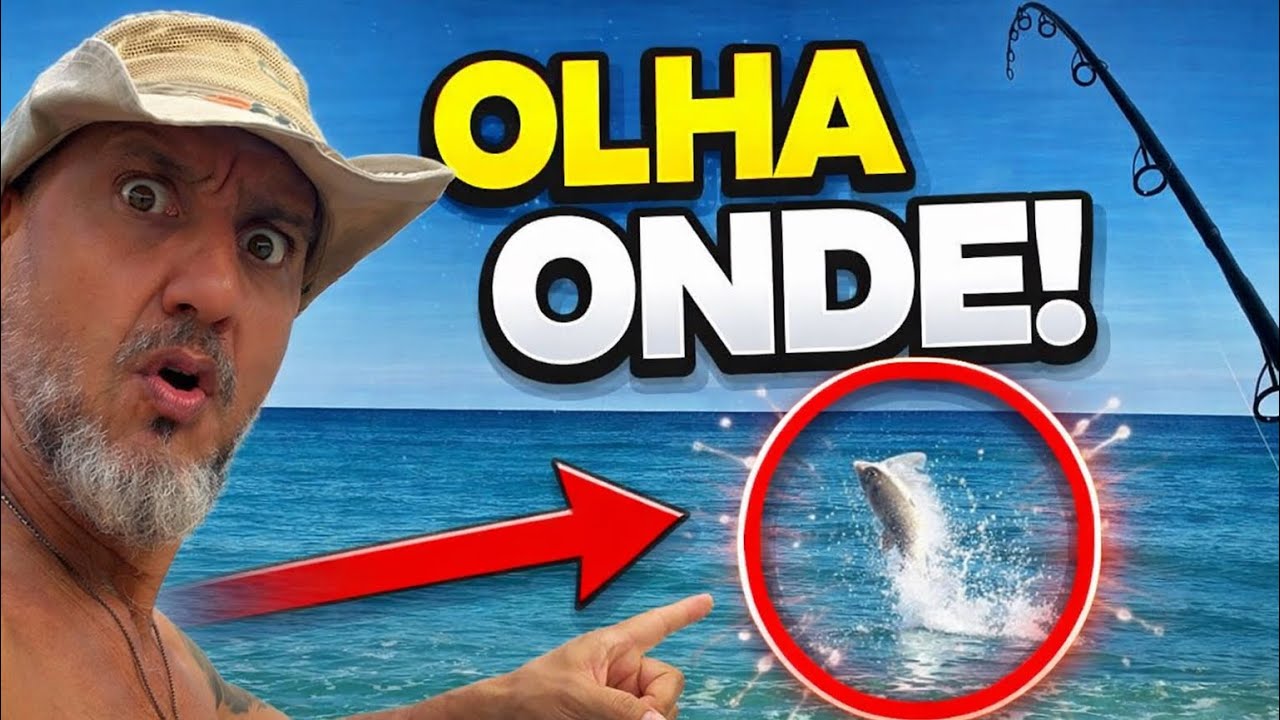 Onde os peixes ficam na praia (aprenda a ler o mar)