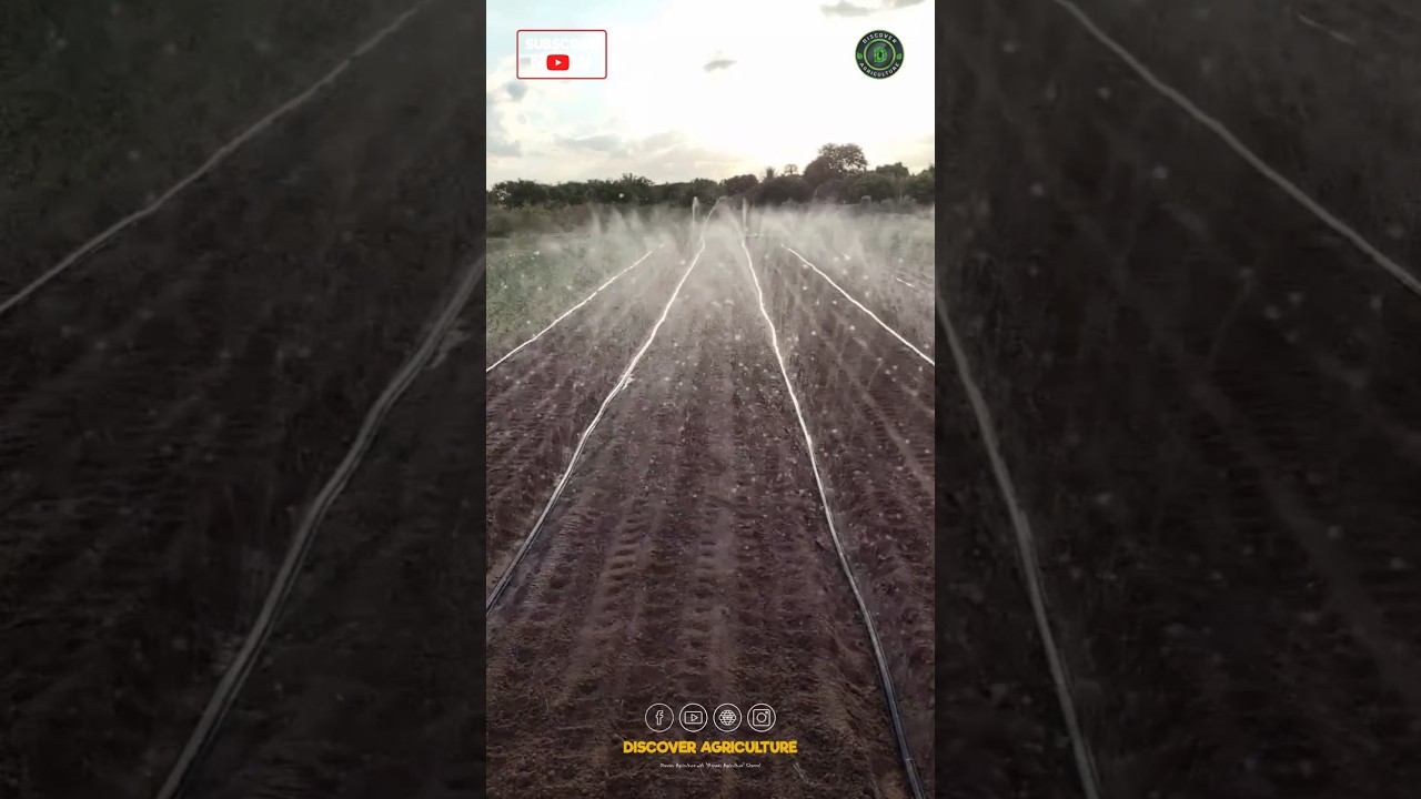 Drip Rain Irrigation System