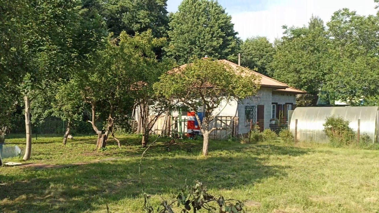 Расчистка Участка (3) #дача 