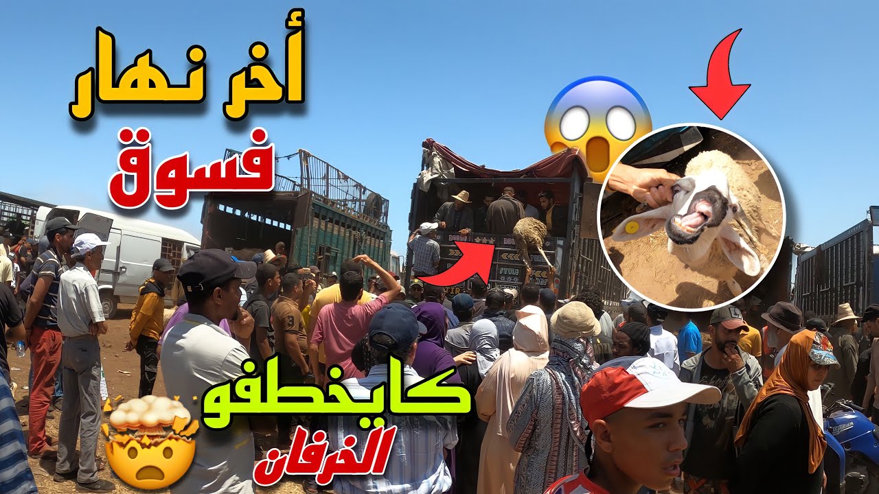 أثمنة حولي عيد الأضحى 🐑 أخر نهار فسوق مدينة رحمة حولي غالي بزاف 😱😨شوفو شنو وقع 🥲