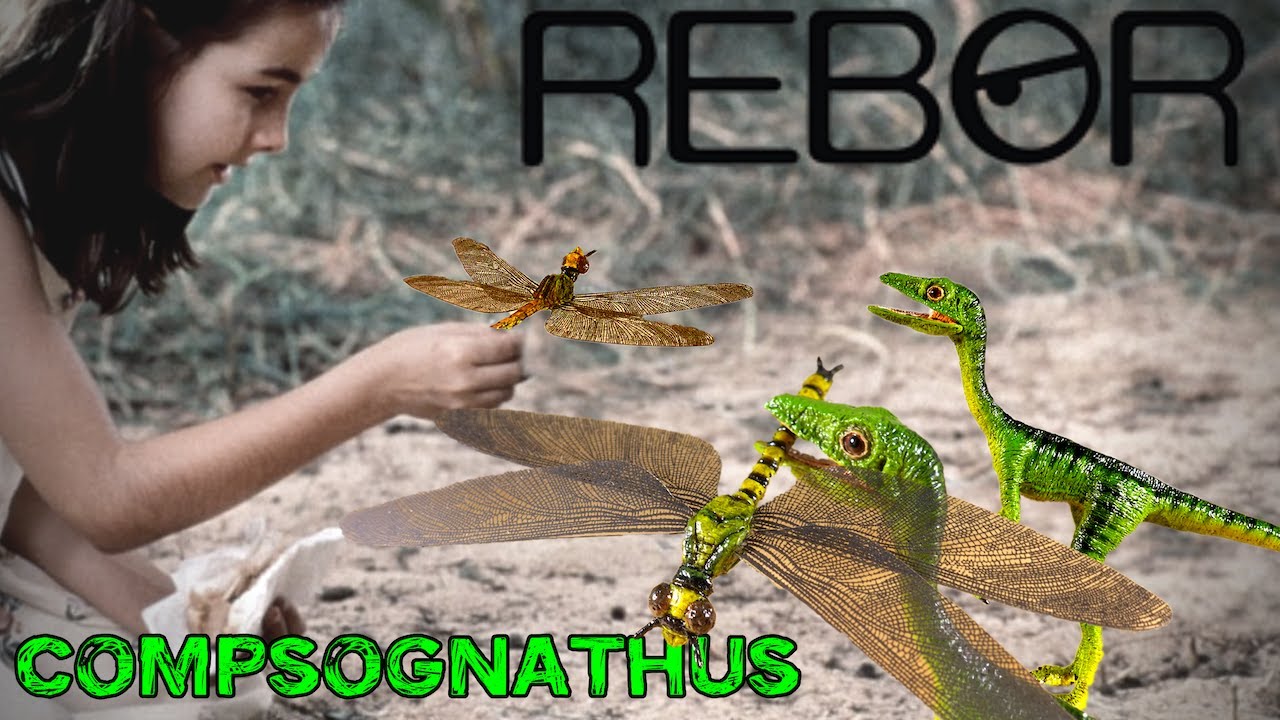REBOR - Compsognathus Sentry ;) - DINORECENSIONE