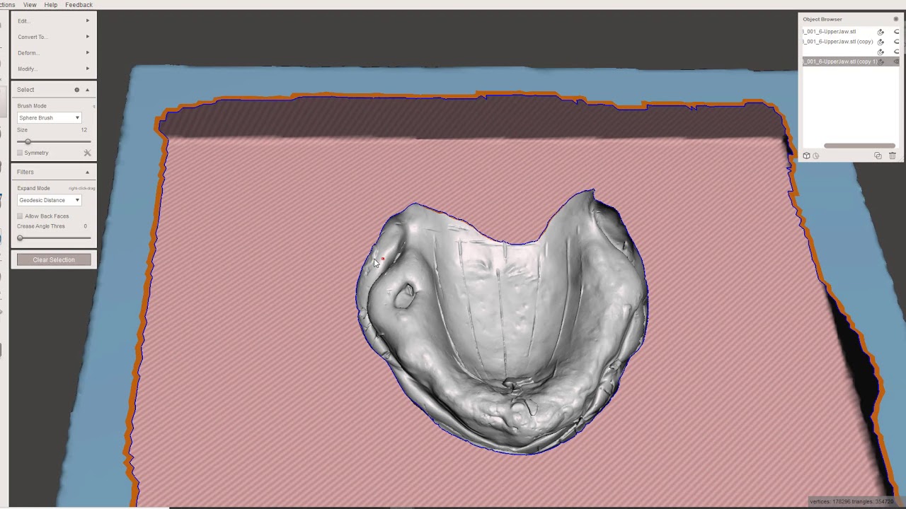 Creating ideal master models for digital dentures using Meshmixer
