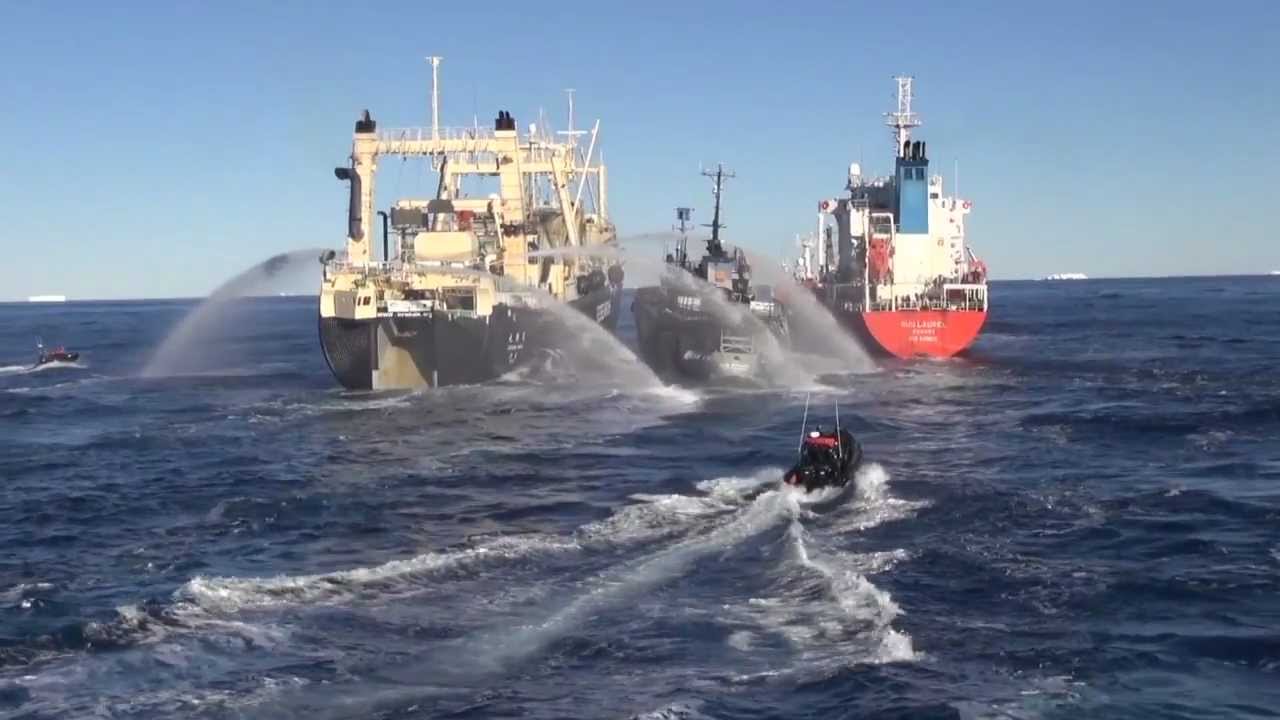 Nisshin Maru зажал Боба Баркера между собой и бензовозом, что привело к нескольким столкновениям