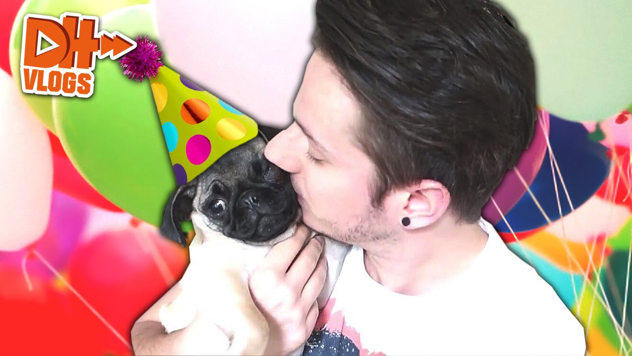 HAPPY BIRTHDAY GIZMO - Hardi tischt auf