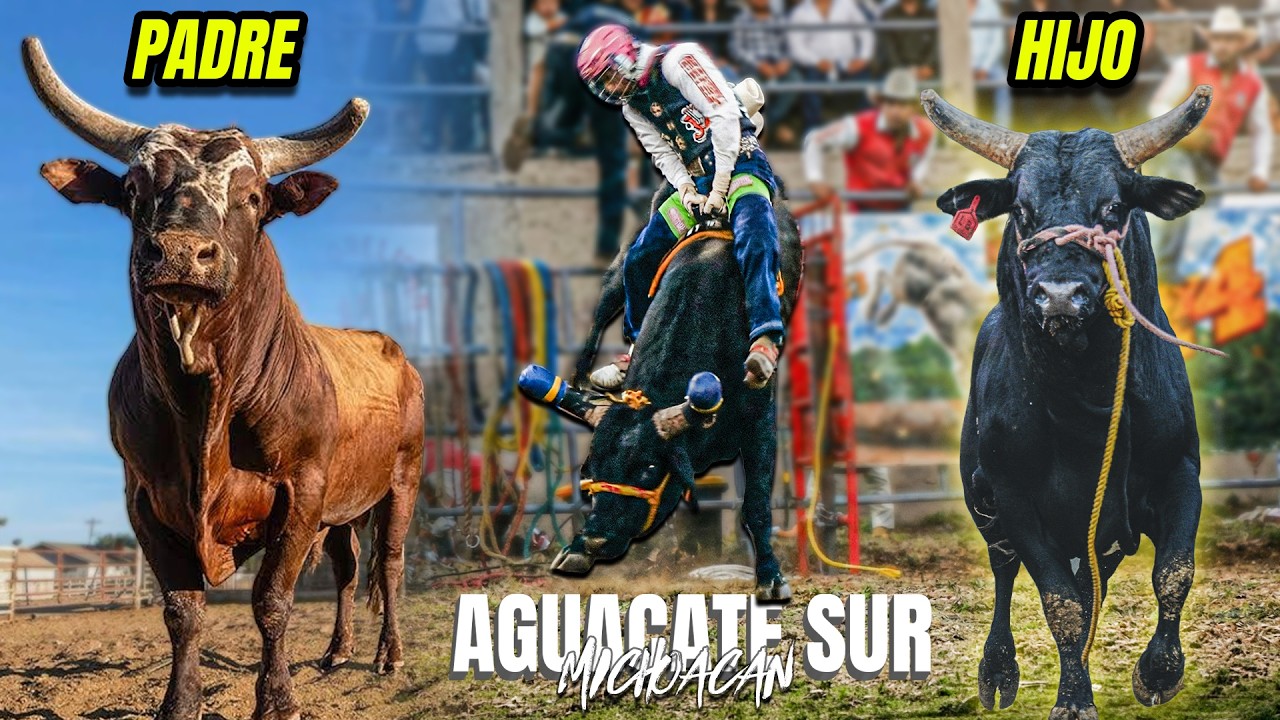 A GRAPA UN HIJO DE BUSHWACKER - ESTA EN EL AGUAJE // Rancho el Aguaje en Aguacate Sur Michoacan