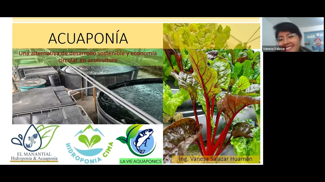 Acuaponia con truchas, Ing Vanesa Salazar Cajamarca Peru