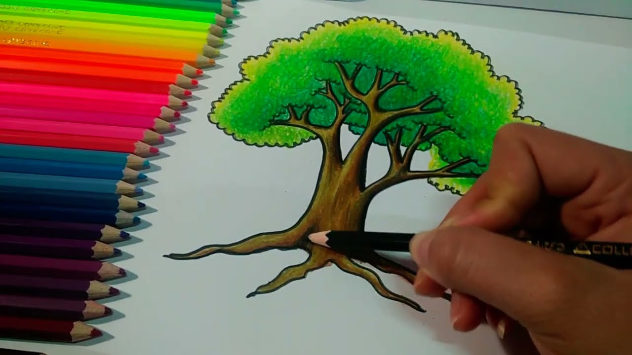 How to draw tree | วาดต้นไม้ง่ายๆ ระบายสีต้นไม้ง่ายๆ ด้วยสีไม้