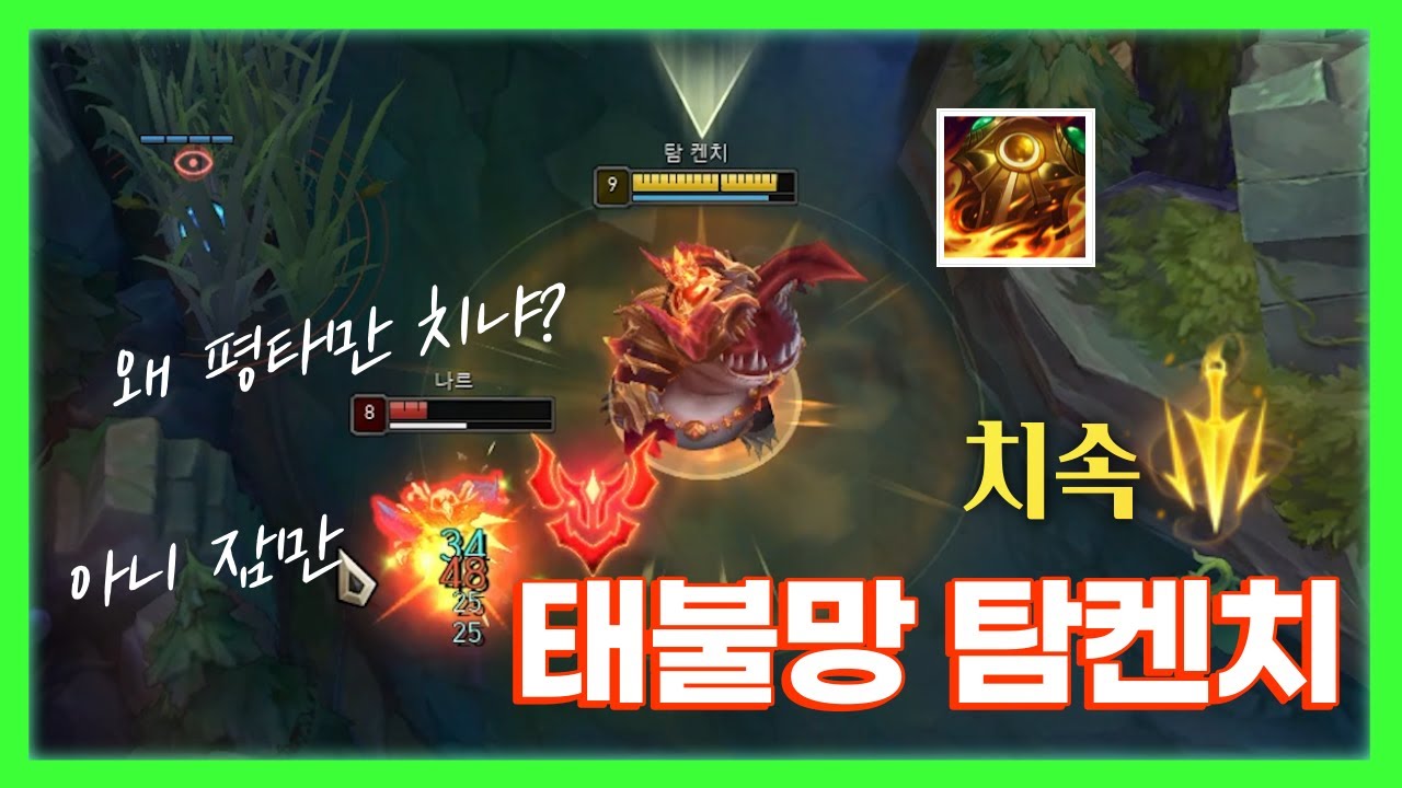 치속 태불망 탐켄치vs탑나르 