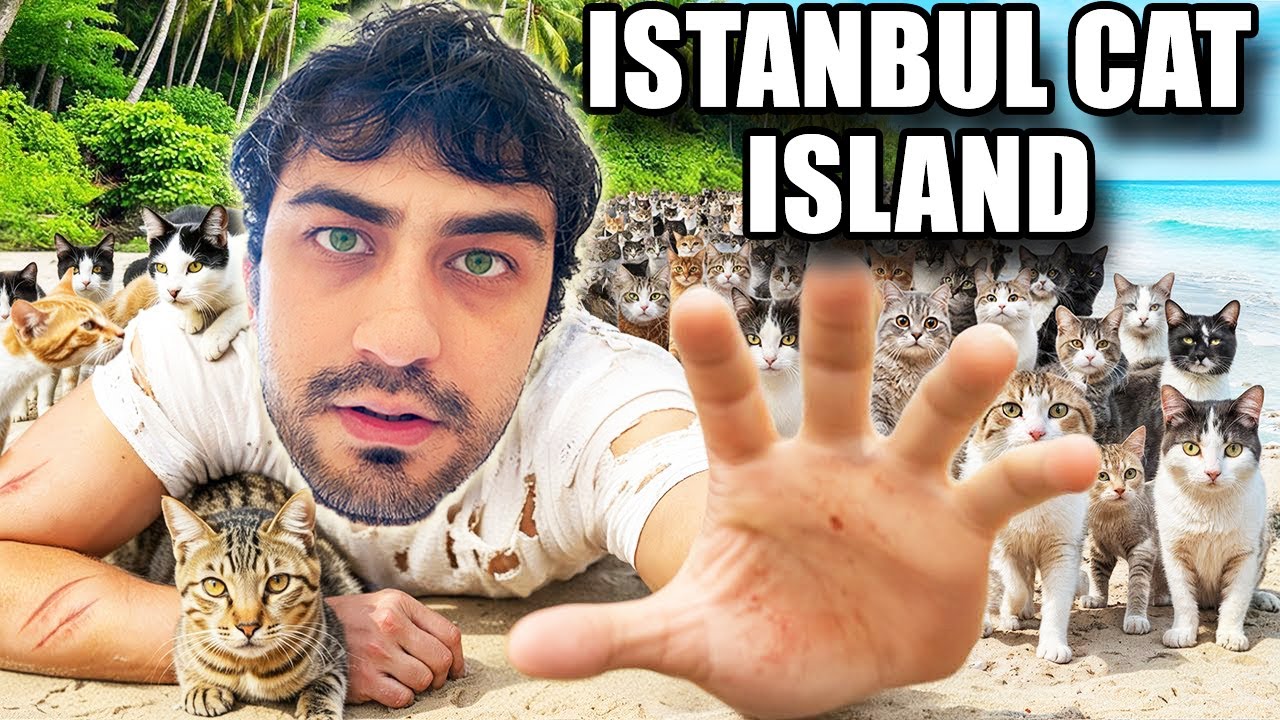 Exploring the istanbul Cat Island for 24 Hours